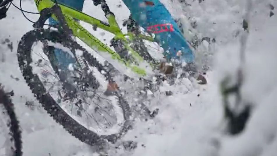 Poule up – ‘real bikes, real animals, real fun’