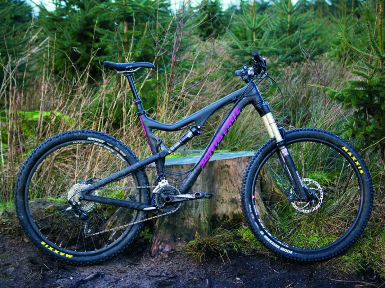 Santa Cruz Bronson C