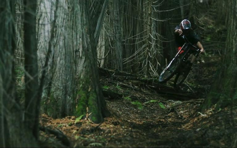 Chromag: Paul Genovese