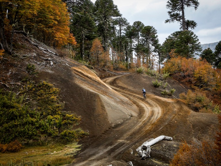 AlpacAttack Stages 4, 5 & 6