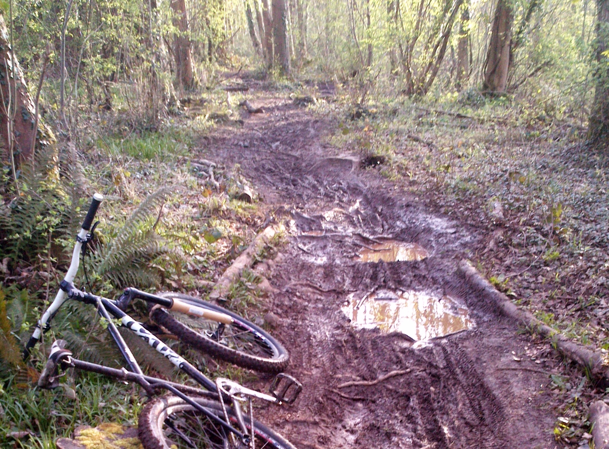 Technical Difficulties: Rut Rage