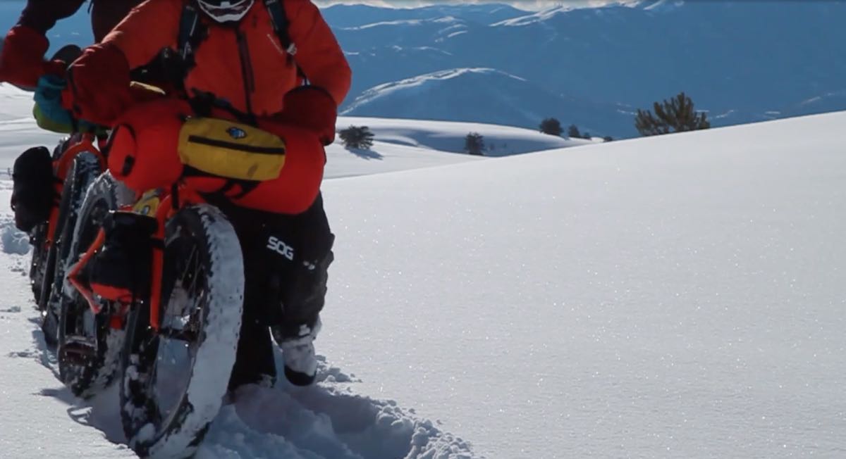 Montanus – the COLD VEIN