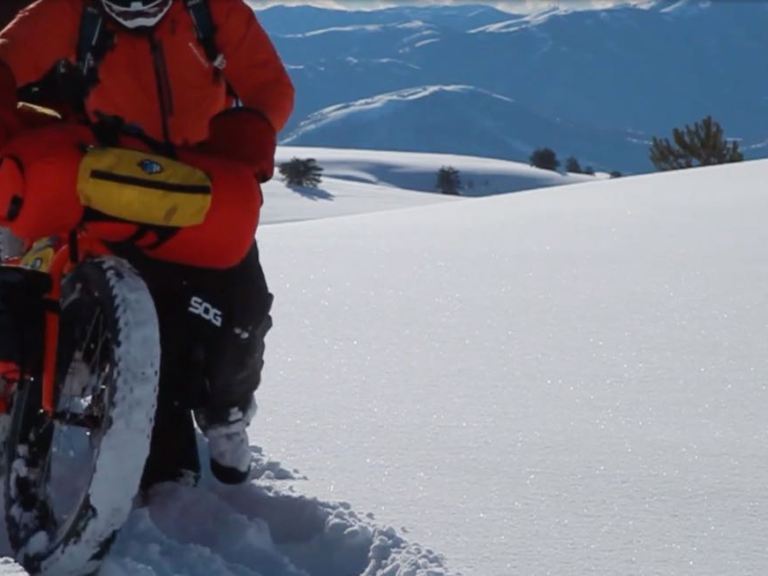 Montanus – the COLD VEIN