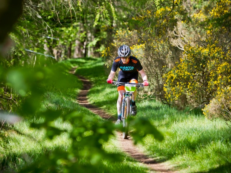 Glentress 7 Race Report