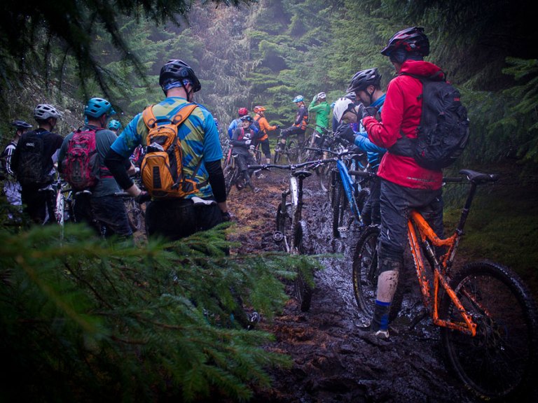 12 Days Of Tweedlove