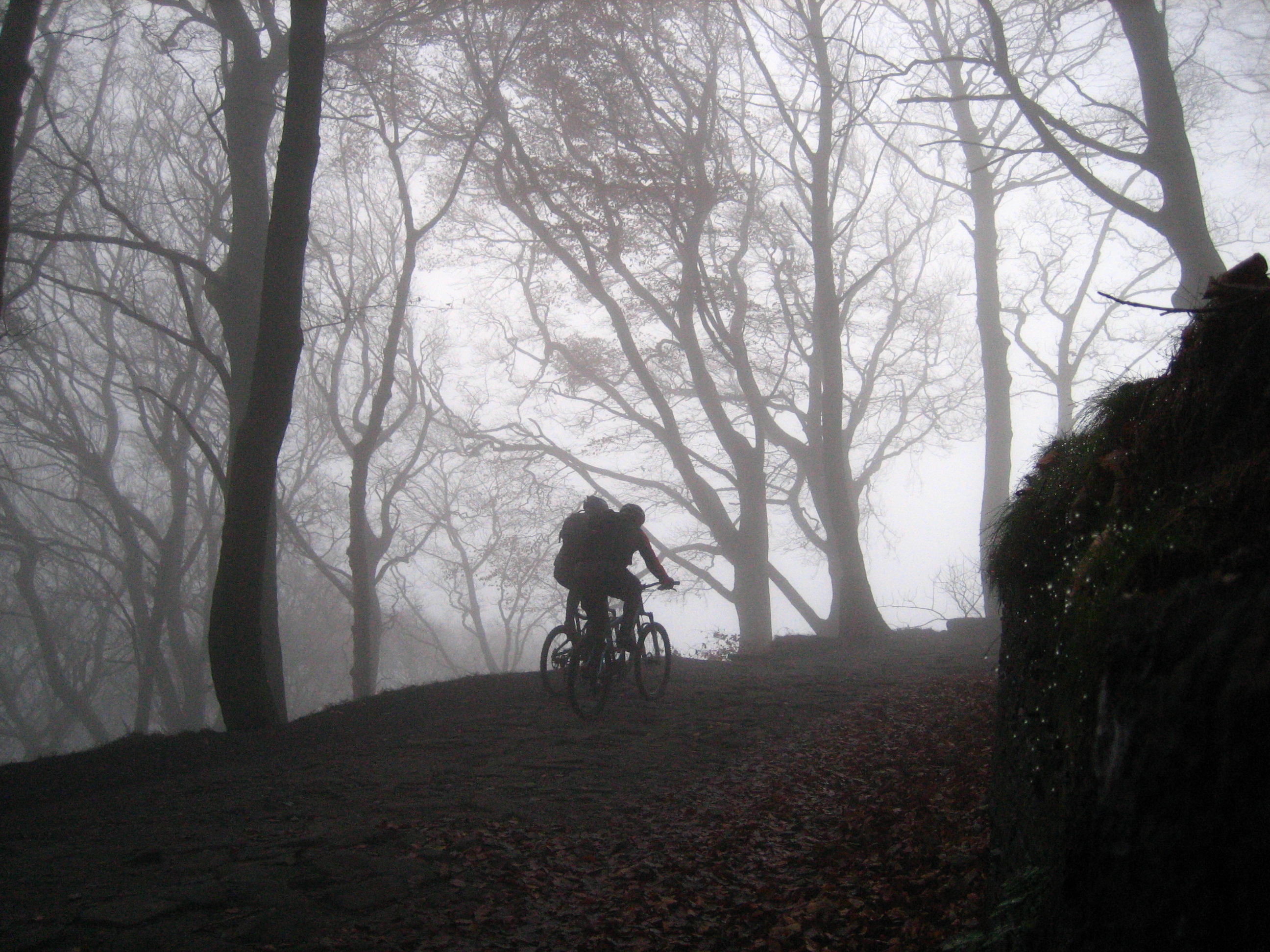 IMBA Europe wants your opinion