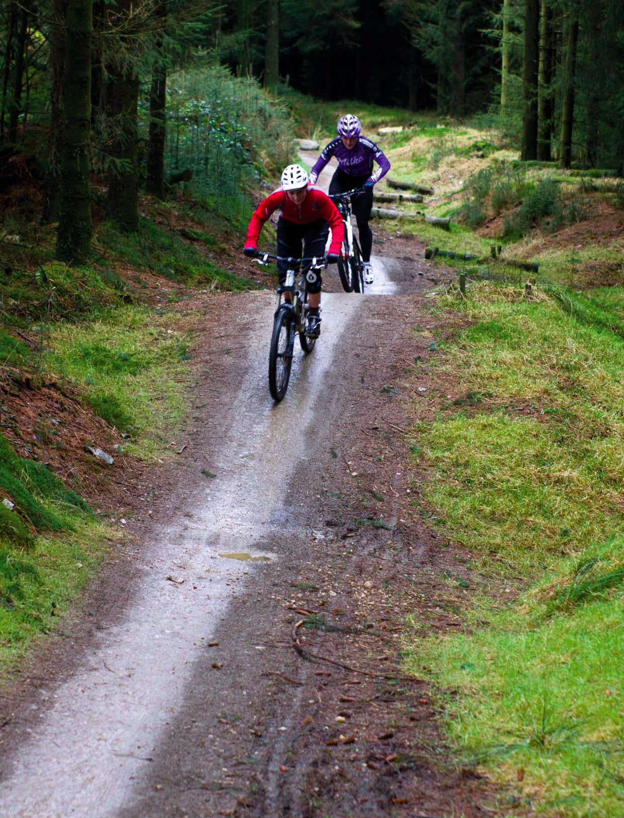 Issue72_Page_085_Image_0001