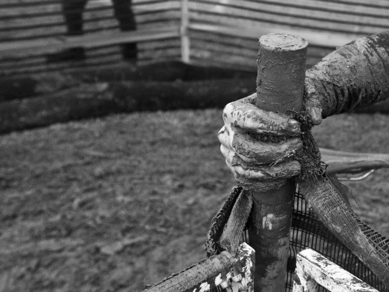 UCI: “No U-Turns.”