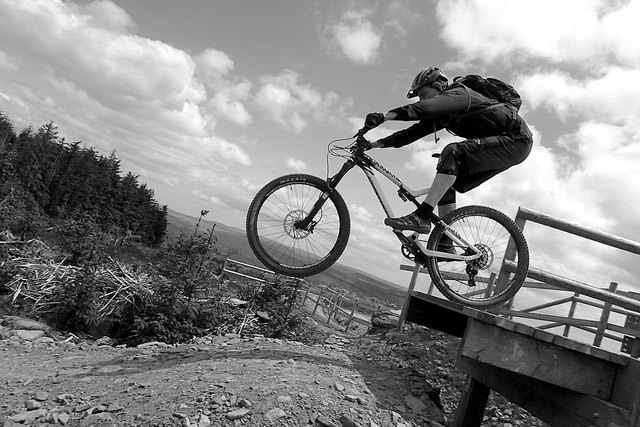 Pickled Hedgehog: “On The Up.”