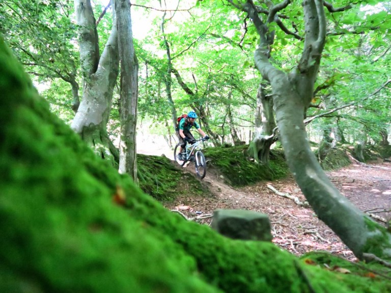 Video: Get Down In Exmoor With THE EX