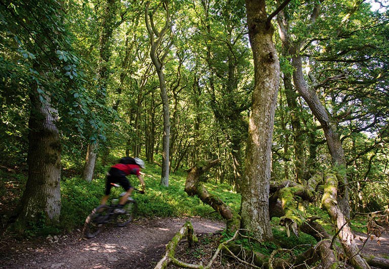 MP Attacks Mountain Bikers… Verbally