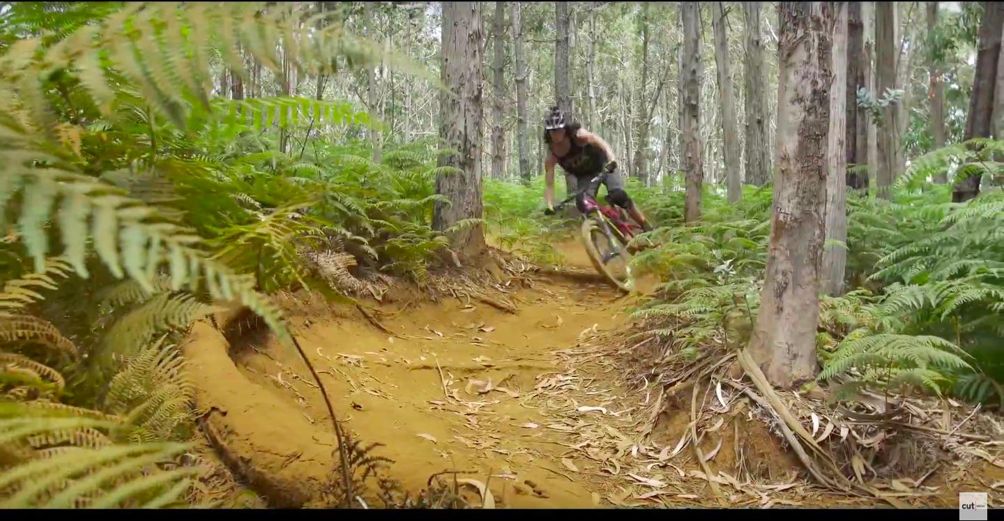 Josh Bryceland’s Madeira Dreamin’ – VIDEO