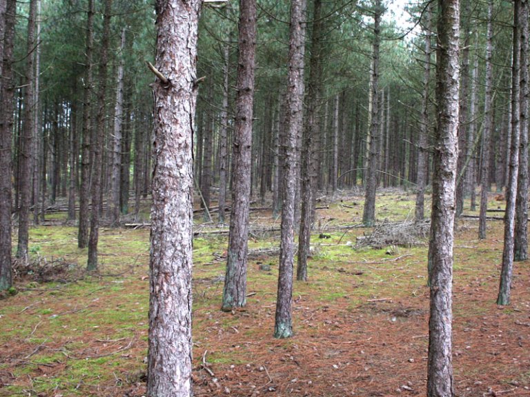 Greg’s Knowledge Drop v4