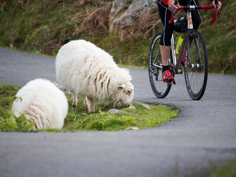 Greg’s Knowledge Drop v2