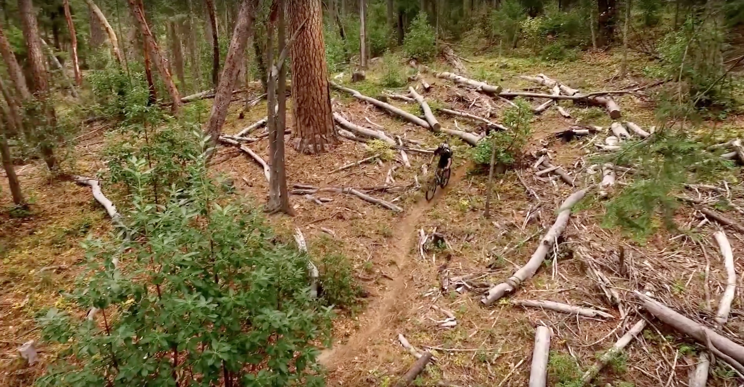 Video – Jeff Jones: A Man And His Bikes