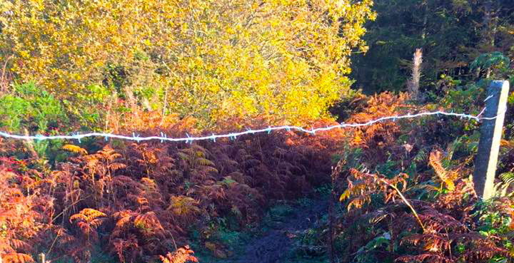 Technical Difficulties: Listen All Y’all, It’s A Sabotage…