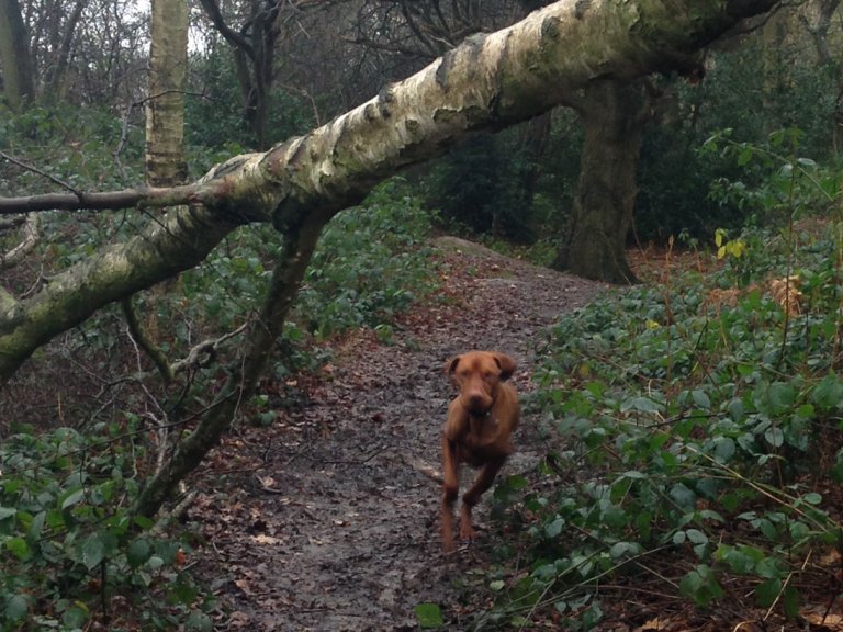 Tuesday Treats – A Winner’s Tale