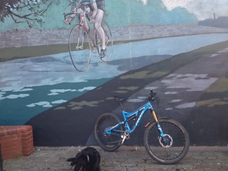 Tuesday Treats 148: Garage Bikes