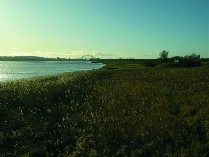 Steve Makin Diary singletrack magazine
