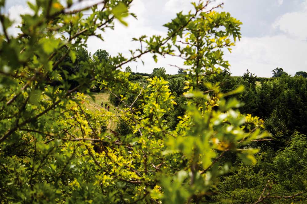 singletrack magazine lincolnshire mountain bike