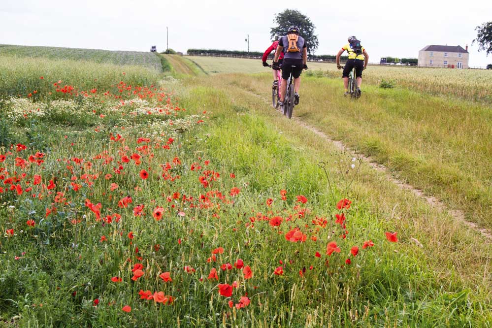 singletrack magazine lincolnshire mountain bike