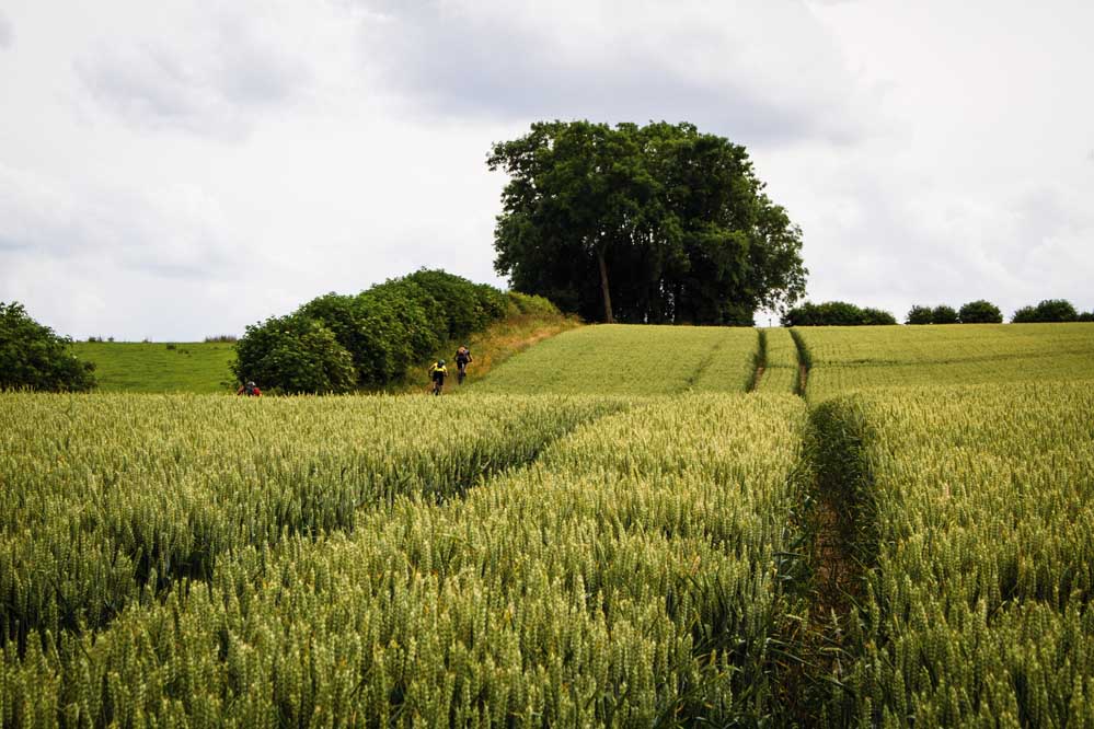 singletrack magazine lincolnshire mountain bike