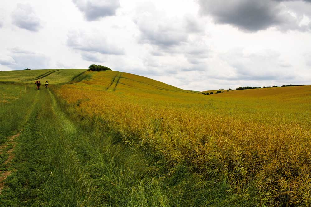 singletrack magazine lincolnshire mountain bike