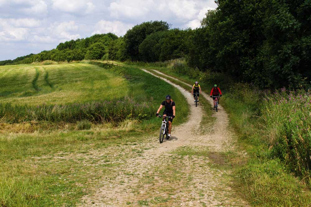 singletrack magazine lincolnshire mountain bike