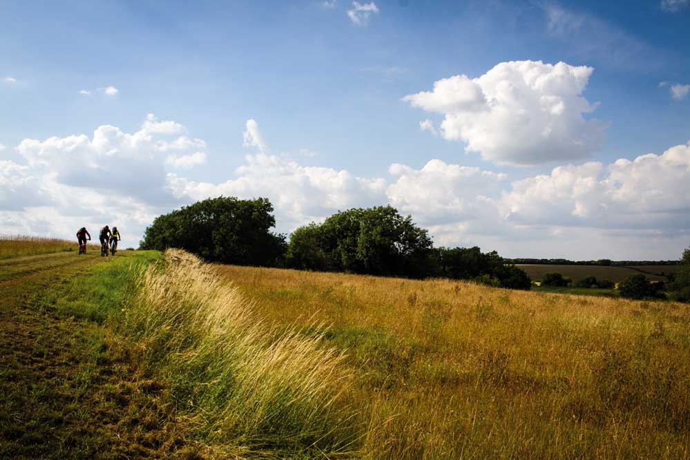 singletrack magazine lincolnshire mountain bike