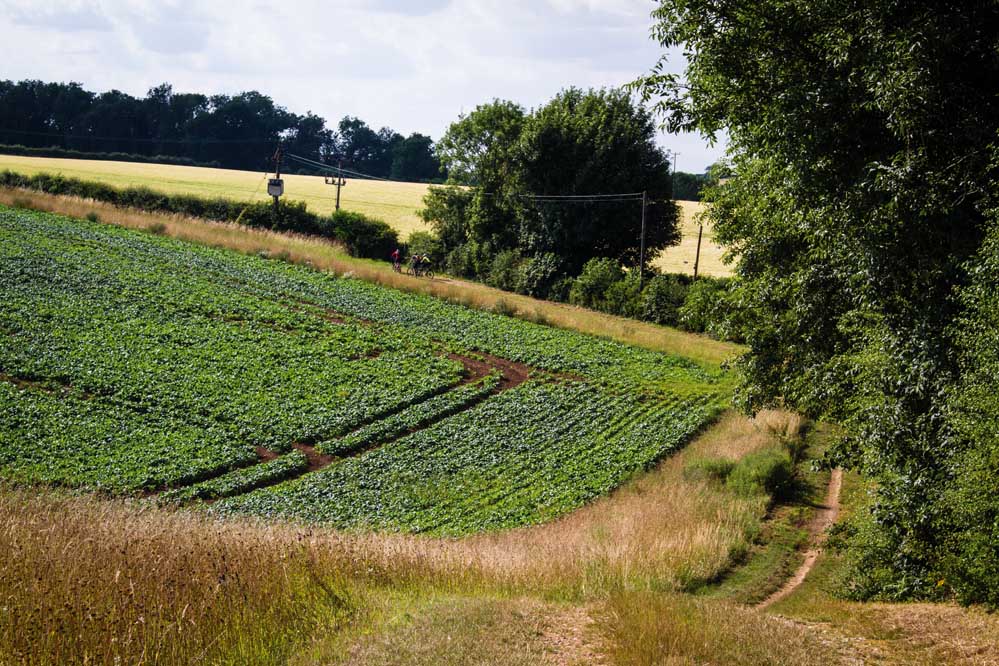 singletrack magazine lincolnshire mountain bike