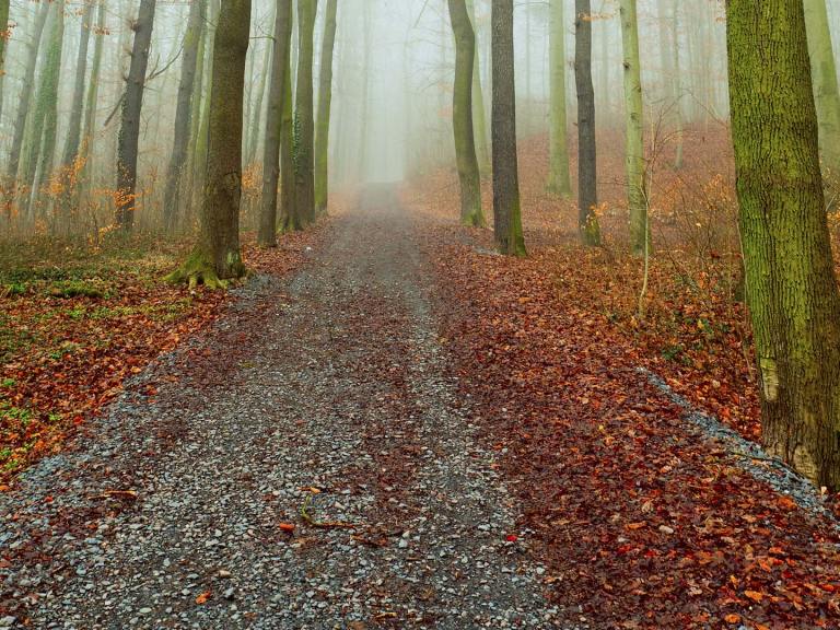 New Scotland Event: Gran Fonduro “Where Gran Fondo meets Enduro!”