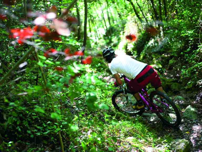 What’s It Worth? – Is It Possible To Place A Value On Riding?