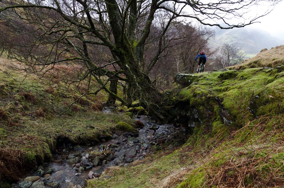 Issue72_Page_017_Image_0002