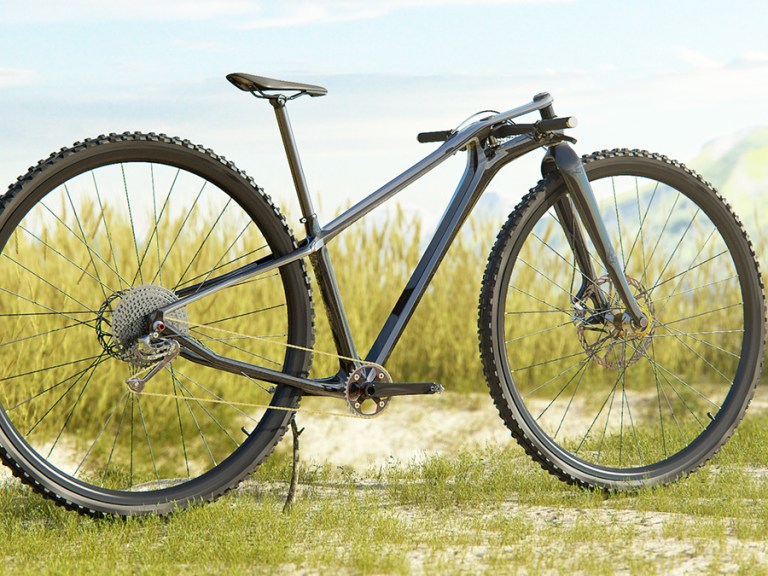 WTF: 39er XC Bike Concept