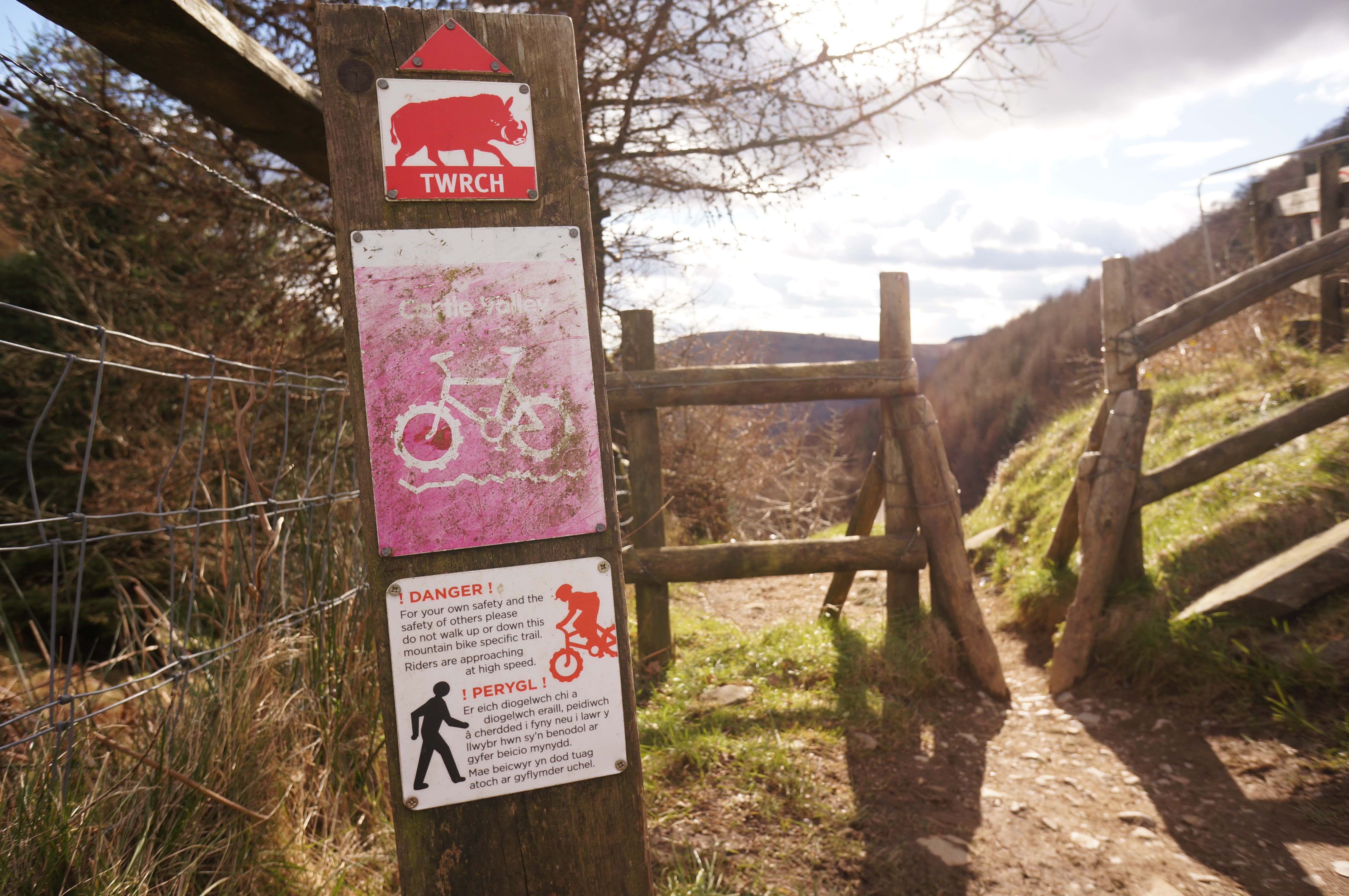 Technical Difficulties: Grump Trumps