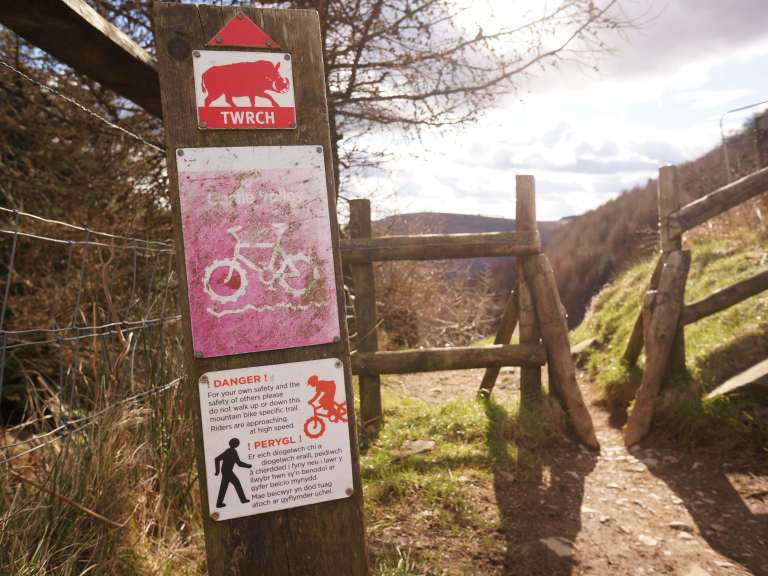 Technical Difficulties: Grump Trumps