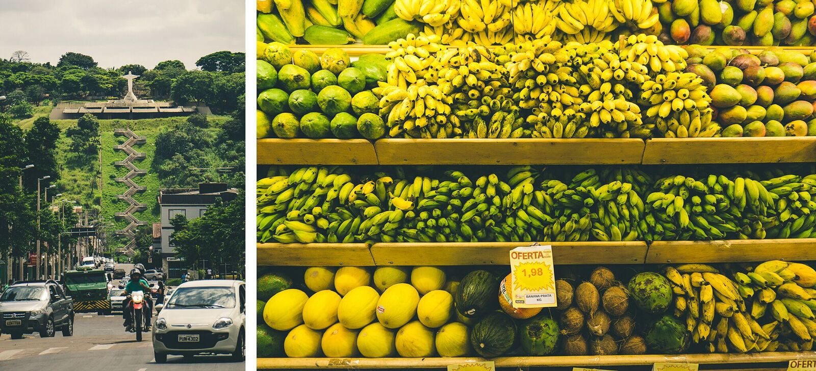 Finsty, Brazil, Fruits