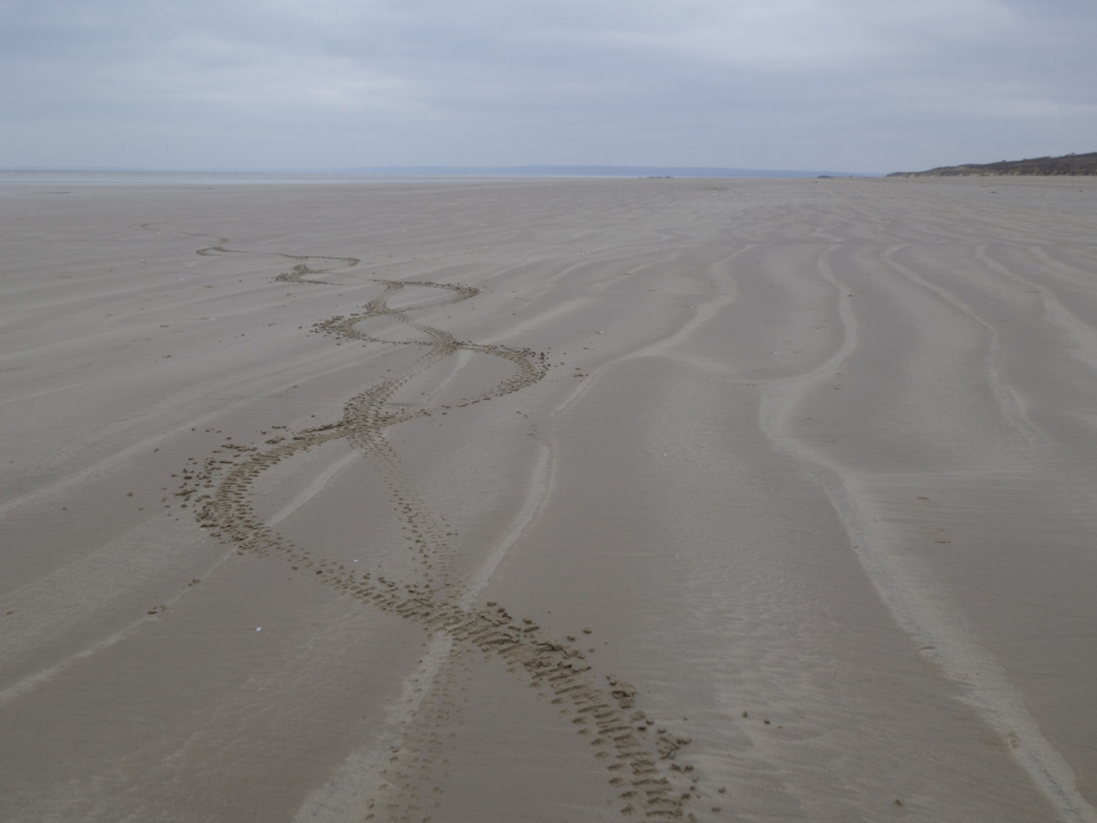 ASSOS Battle on the Beach 2016