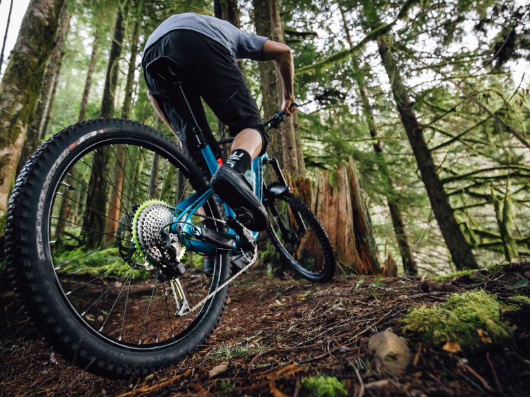 OneUp Components Goes 10-50T with its new Shark