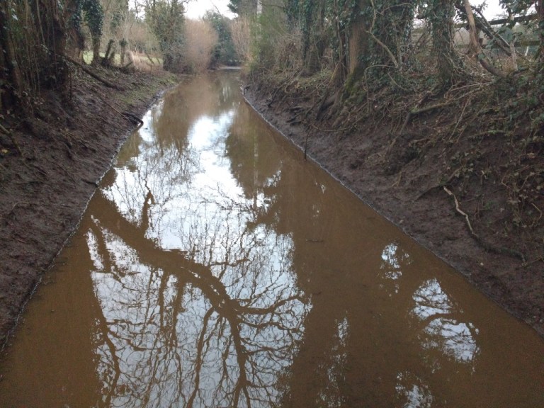 Just Some Blue Signs