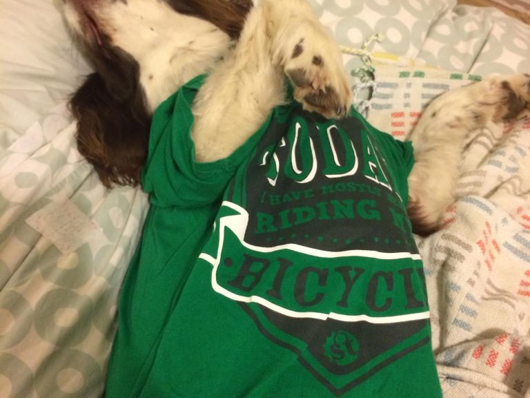 Podcast: Trail Dogs, Tube Tech and Fire on t’Moors