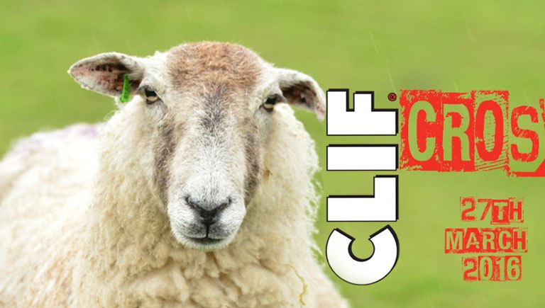 Clif’cross Returns for a 4th Year of Fun!