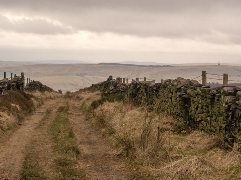 Greg’s Knowledge Drop v2.11