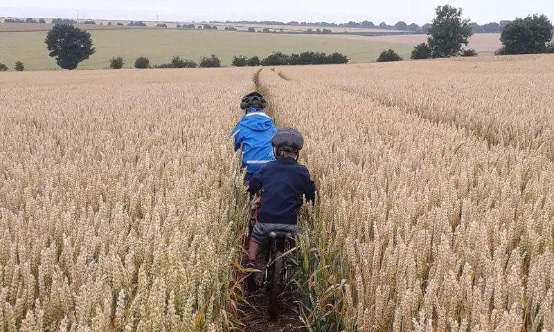 Family Cycling family bike rides