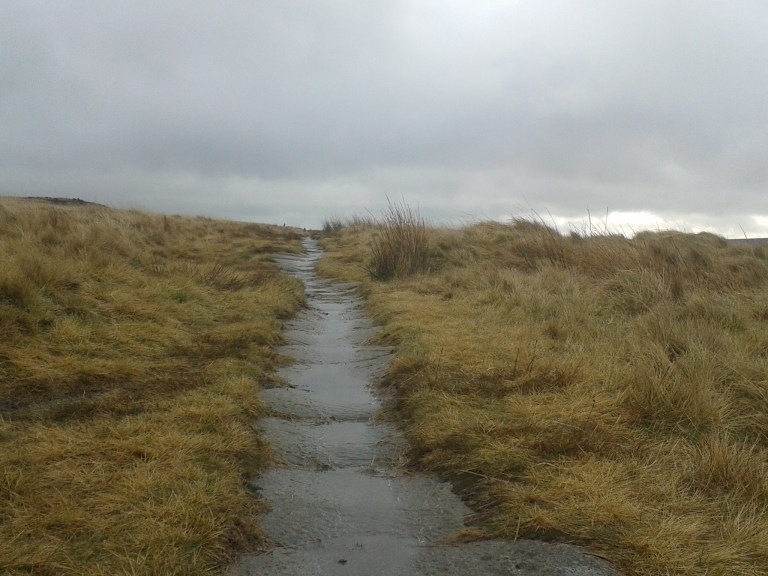 Diversion Diary – Know Your Place