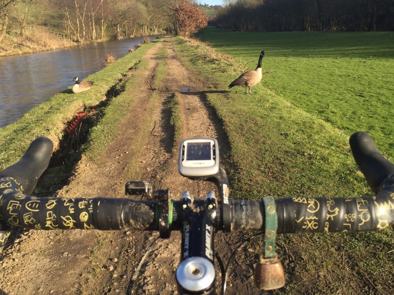 Day 5 – 30 Days of Biking