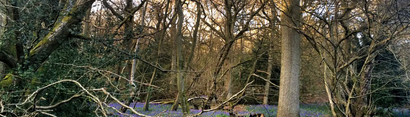 30 Days of Biking Bluebells