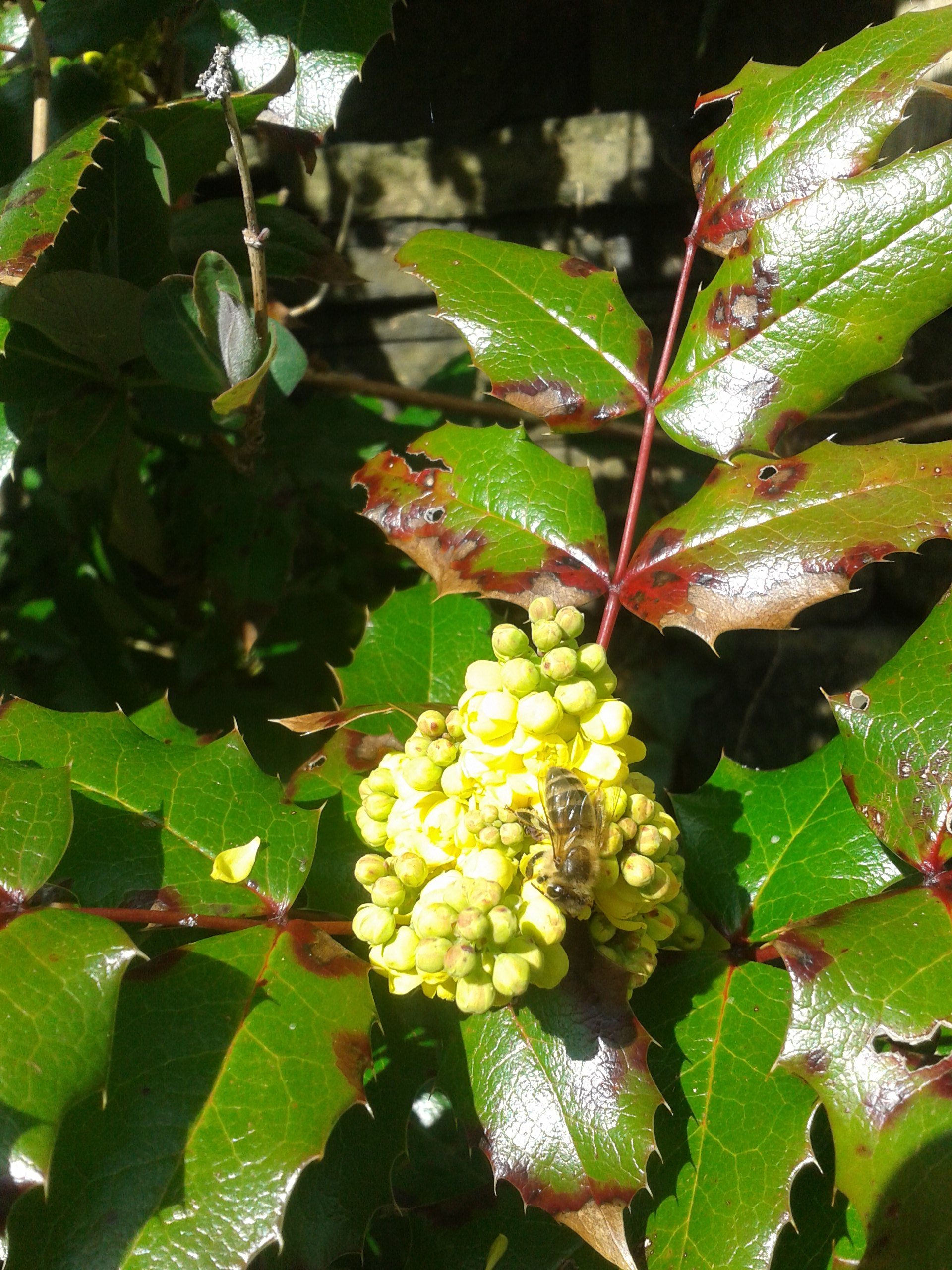 Column: The Rites of Spring