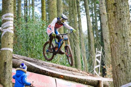 steve peat, bds, ae forest, 2016