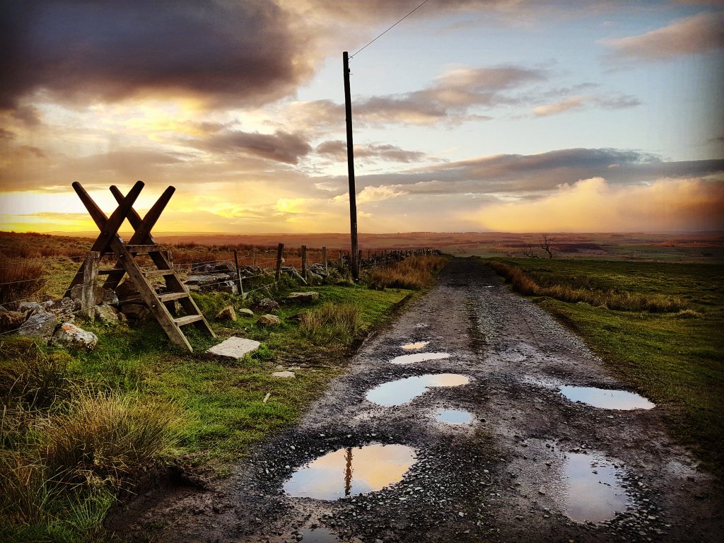 Dishing the dirt on The Dirty Reiver – Episode 1